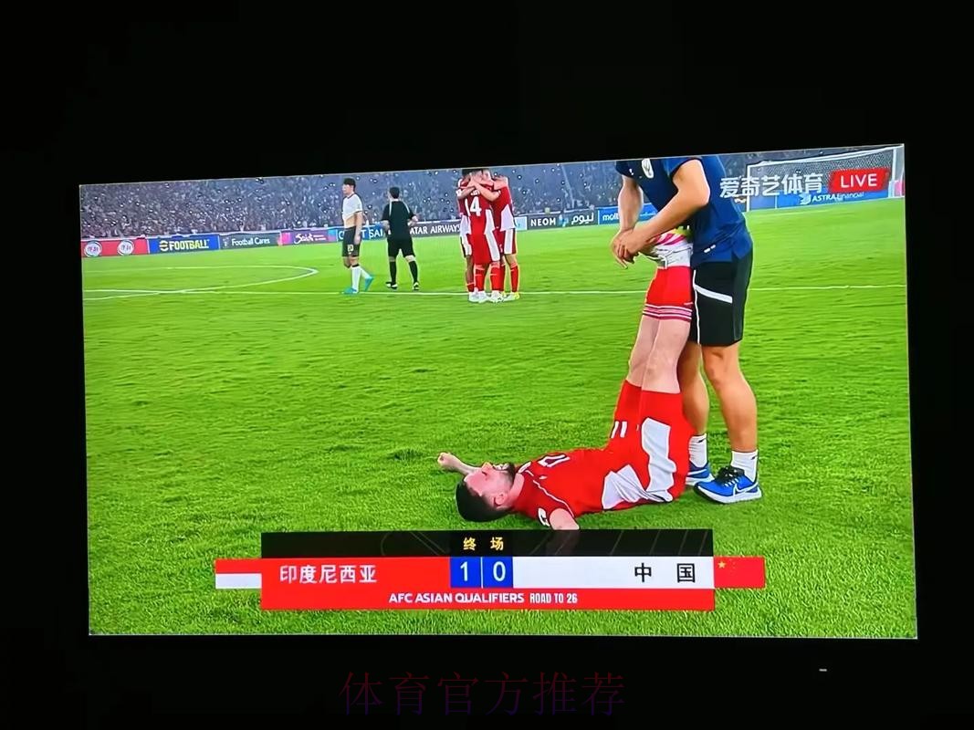 免费在线观看足球世界杯直播回放全集